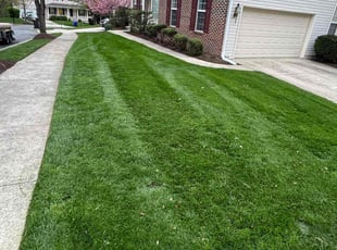 Erica W.'s lawn maintenance service result