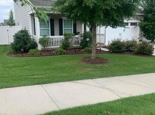 Hector C.'s grass cutting service result