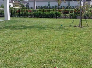 Susan F.'s lawn care service result