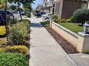 Meghan V.'s grass maintenance service result