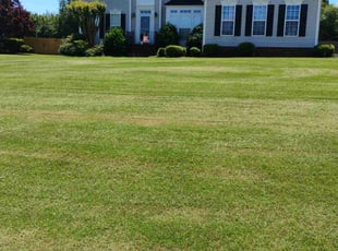 Claudia R.'s lawn care services service result