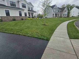 Jessica W.'s grass maintenance service result