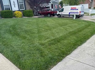 Roderick C.'s yard service service result