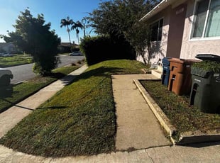 Martha C.'s lawn care services service result