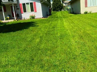 Kelvin M.'s Long Grass Cleanup service result