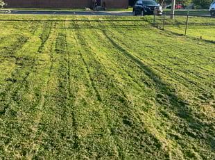 Tuuaga I.'s turf care service result