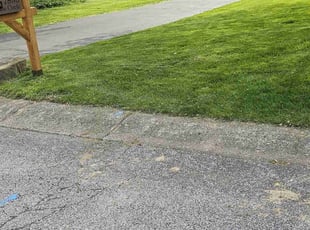 Alex S.'s grass cutting service result
