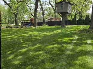 Bradley W.'s turf maintenance service result