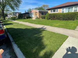 Rene N.'s lawn care service result