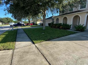Nikki P.'s lawn service service result