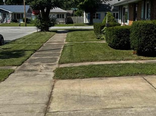Amy B.'s lawn care service result