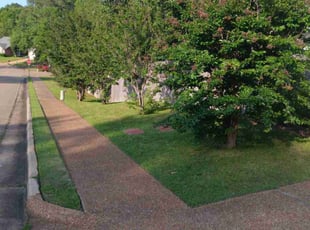 Chiquita F.'s landscaping service result