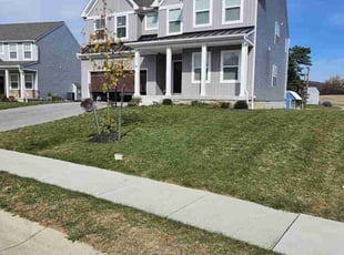 Ken S.'s lawn service service result