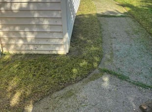 Chardae J.'s lawn care service result