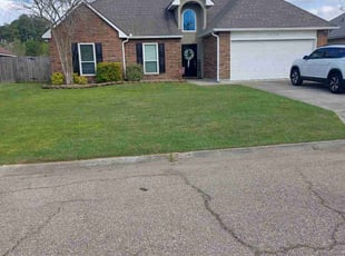 Shannon S.'s turf care service result