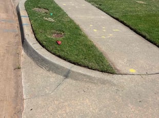 Grace L.'s turf maintenance service result