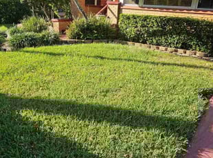 Jen W.'s lawn care services service result
