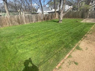Chien-Liang F.'s lawn care services service result