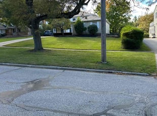Lois T.'s grass maintenance service result
