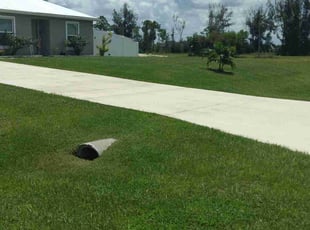 Nina L.'s lawn service service result