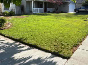 Sydney C.'s turf care service result