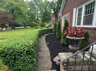 Patricia W.'s Bush Trimming service result