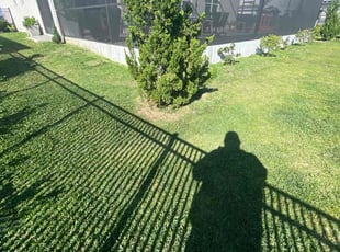 Ben K.'s grass maintenance service result