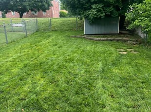 Jose C.'s lawn maintenance service result