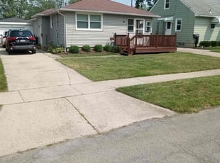 Dania T.'s landscaping service result