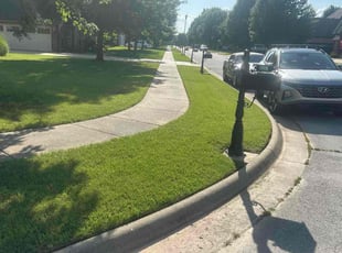 Amanda T.'s grass maintenance service result