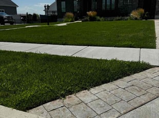 Stefanie J.'s lawn care service result