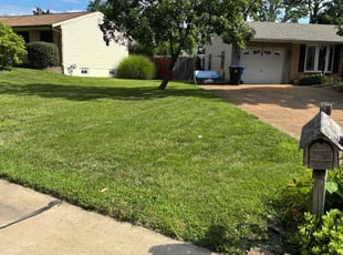 Ely H.'s lawn care services service result