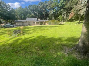 Jeanie D.'s grass maintenance service result
