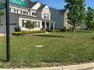 Kelsey Y.'s turf care service result