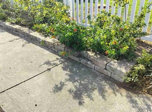 Tawana H.'s Flower Bed Weeding service result