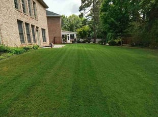 Andrea L.'s turf maintenance service result