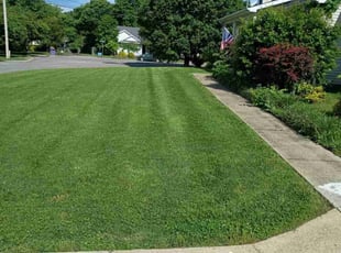 Adaja W.'s lawn care service result