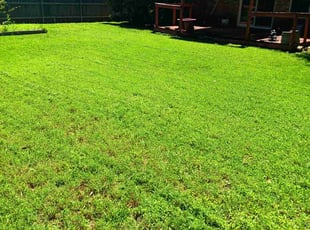 Regina P.'s lawn maintenance service result