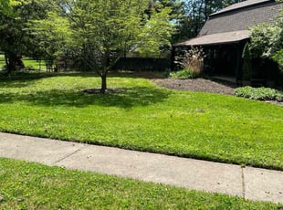 Ashley C.'s lawn service service result