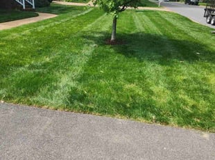 Cynthia E.'s grass cutting service result