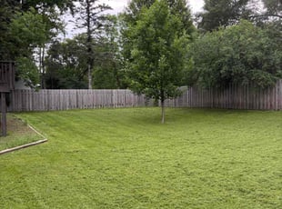 Anna C.'s lawn care service result