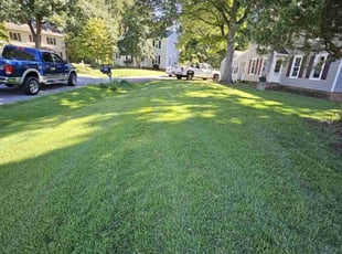Alton K.'s lawn maintenance service result