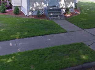 Mark P.'s lawn care services service result