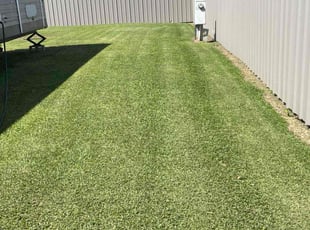 Jeri H.'s lawn care services service result