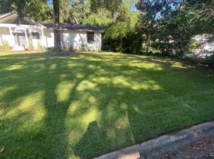 Nicole A.'s turf maintenance service result