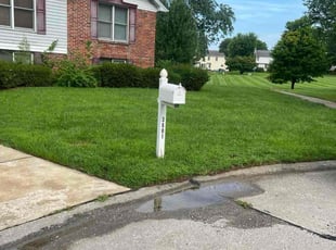 Freda W.'s grass maintenance service result