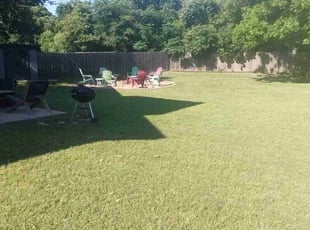 Lc S.'s grass maintenance service result