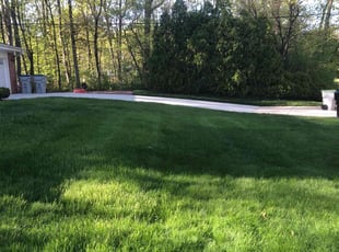 Ben D.'s lawn maintenance service result