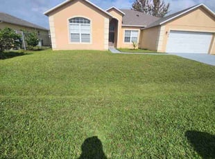 Peter M.'s grass cutting service result