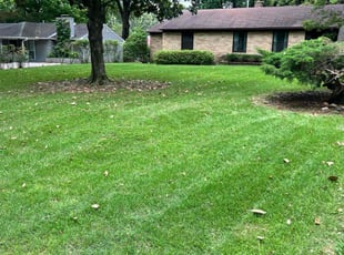 Kathryn R.'s lawn care service result